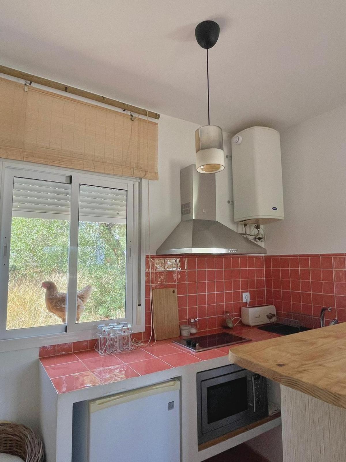 Bungalow -Escapadas En Arcos De La Frontera Ngoại thất bức ảnh